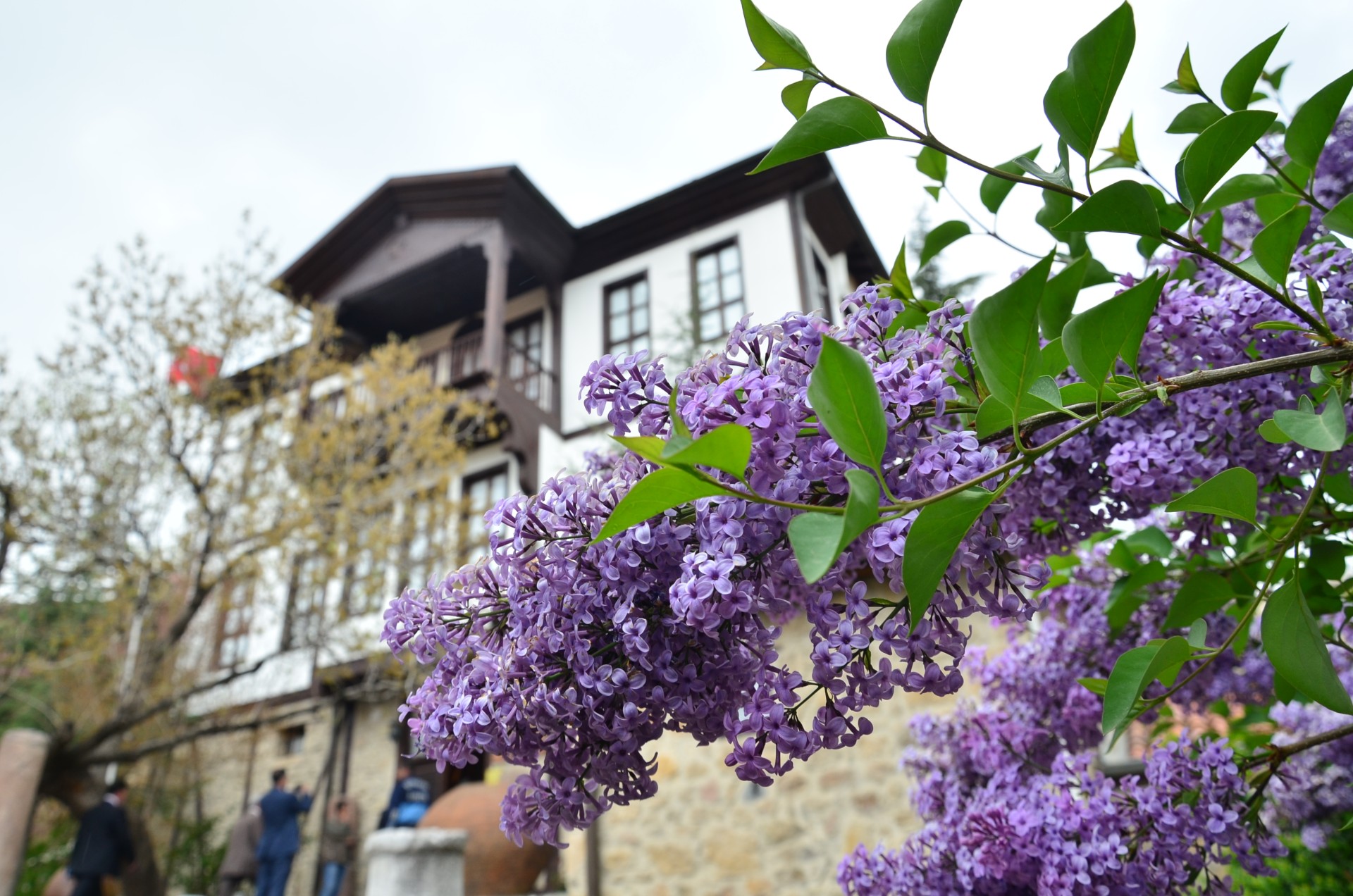 Beypazarı Belediyesi Tarih ve Kültür Müzesi