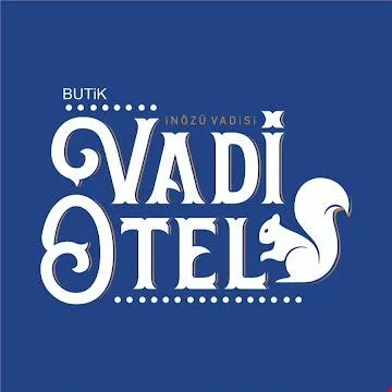 VADİ BUTİK OTEL CEVİZLİBAĞ BEYPAZARI